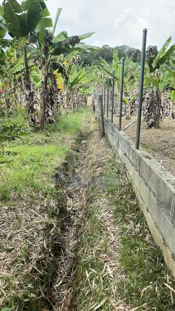 Finca La Esperanza